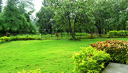 Forest Village Holiday Homes - Garden-1