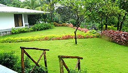 Forest Village Holiday Homes - Living Area-4