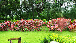 Forest Village Holiday Homes - Garden-4