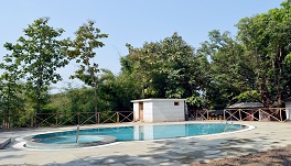 Forest Village Holiday Homes - Pool